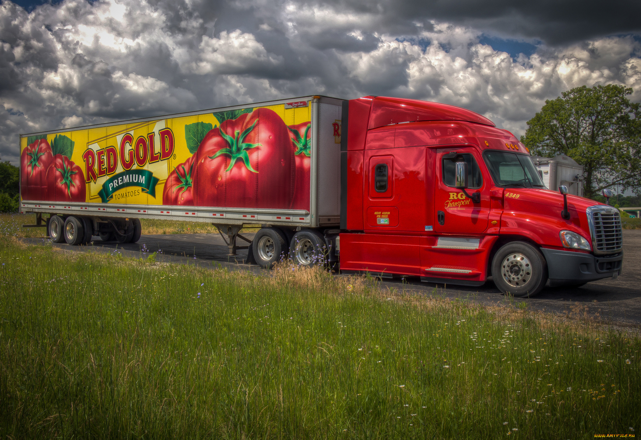 , freightliner, 